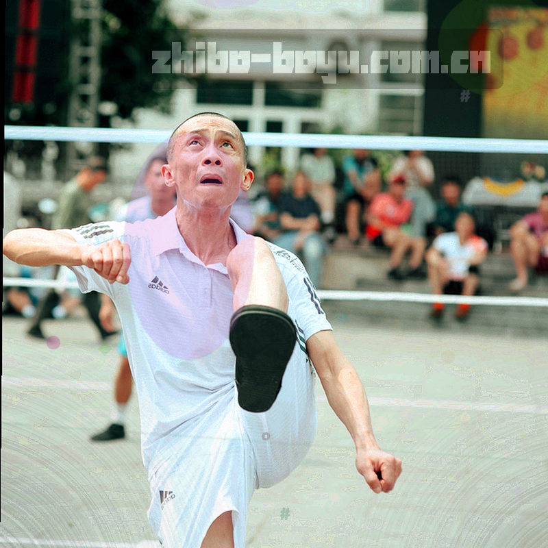 博鱼app行业案例分类图，不同行业图标